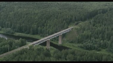 Ormandaki nehrin üzerindeki demiryolu köprüsünün havadan görüntüsü.