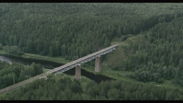 Ormandaki nehrin üzerindeki demiryolu köprüsünün havadan görüntüsü. — Stok video