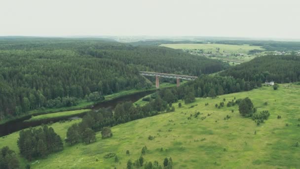 森の中の川を渡る鉄道橋の空中風景 — ストック動画