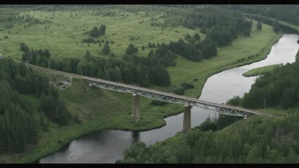 Widok z lotu ptaka na most kolejowy nad rzeką w lesie — Wideo stockowe