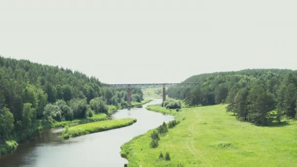 Widok z lotu ptaka na most kolejowy nad rzeką w lesie — Wideo stockowe