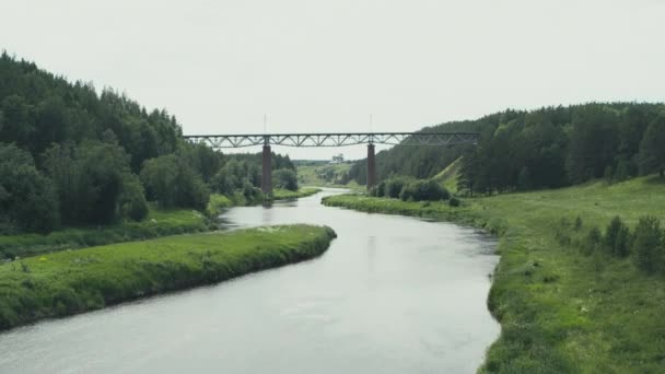 Vista aérea del puente ferroviario sobre el río en el bosque — Vídeo de stock