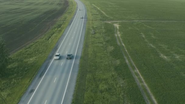 Вид з повітря на автомобіль, що їде по дорозі в полі — стокове відео