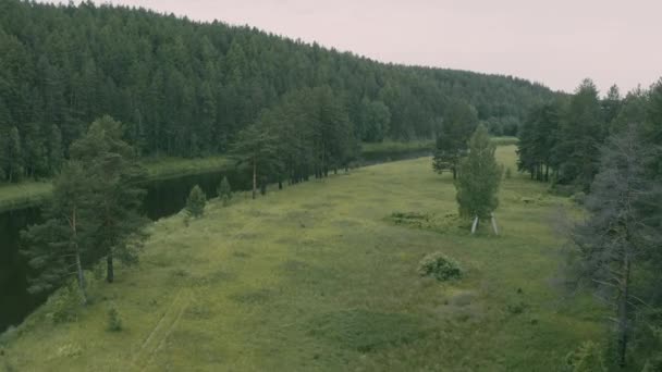 Vista aérea del puente ferroviario sobre el río en el bosque — Vídeos de Stock