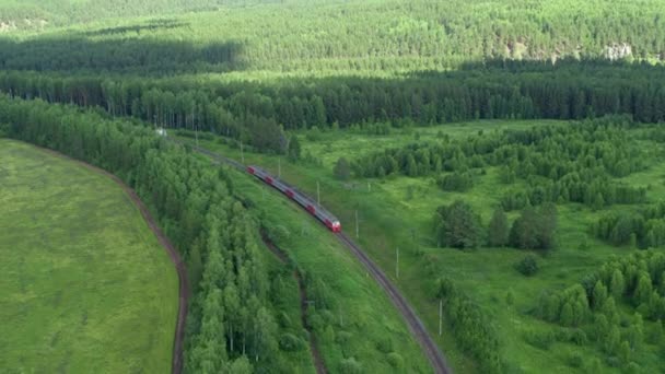 穿过森林和田野的火车的空中景观 — 图库视频影像