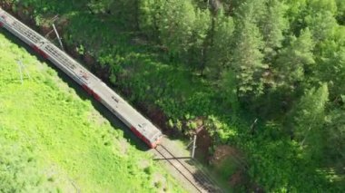 Ormandan ve tarlalardan geçen trenin hava görüntüsü.