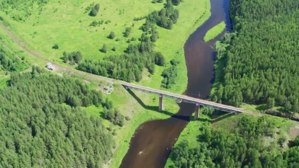 Vista aérea da ponte ferroviária sobre o rio na floresta — Vídeo de Stock