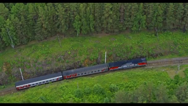 Вид з повітря на поїзд, який проходить через ліс і поля — стокове відео