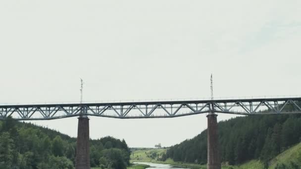 Widok z lotu ptaka na most kolejowy nad rzeką w lesie — Wideo stockowe