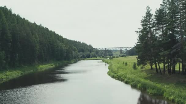 Luchtfoto van de spoorbrug over de rivier in het bos — Stockvideo