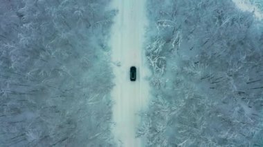 Kış ormanlarında karlı bir yolda giden bir arabanın hava görüntüsü.