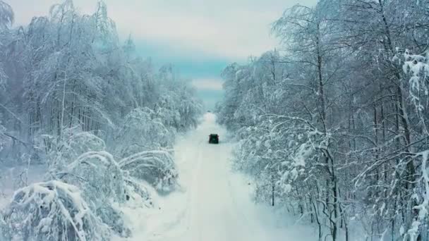 Vista aérea de un coche que conduce en una carretera nevada en un bosque de invierno — Vídeos de Stock