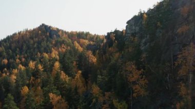 Ağaçlardaki tepelerin havadan görünüşü, renkli bir düşüş.
