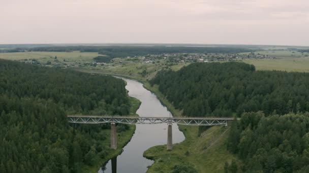 Vista aérea da ponte ferroviária sobre o rio na floresta — Vídeo de Stock