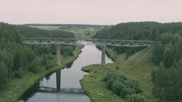 Veduta aerea del ponte ferroviario sul fiume nella foresta — Video Stock