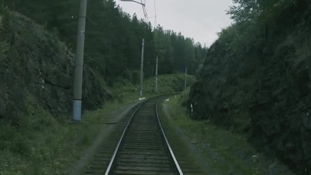 Порожня залізниця в лісі — стокове відео