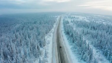 Kış ormanlarında karlı bir yolda giden bir arabanın hava görüntüsü.