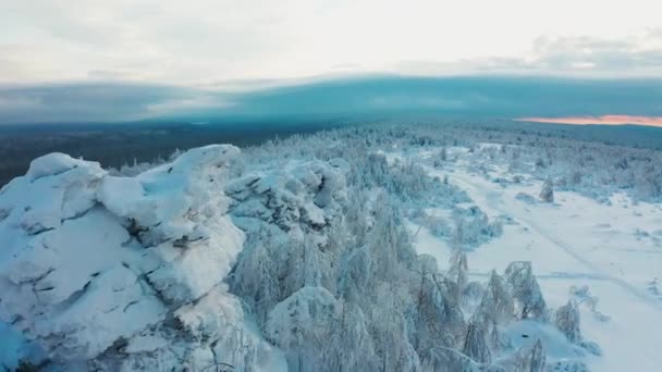 Vista aérea cinematográfica del interminable bosque de nieve desde detrás del acantilado — Vídeos de Stock