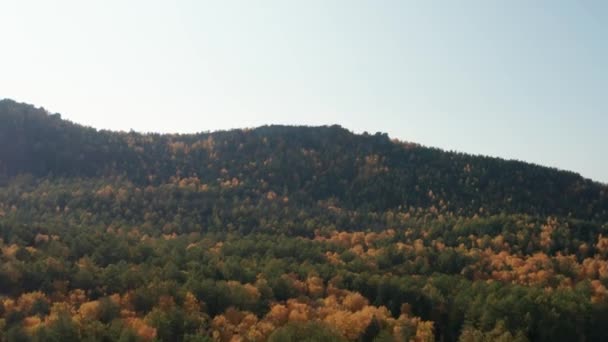 Aerial view of the hills in the trees, a colorful fall — Stock Video