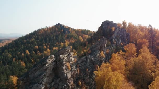 Veduta aerea delle colline tra gli alberi, una caduta colorata — Video Stock