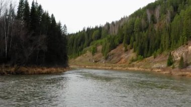 Sonbaharda ağaçlı ve otlu nehrin havadan görünüşü