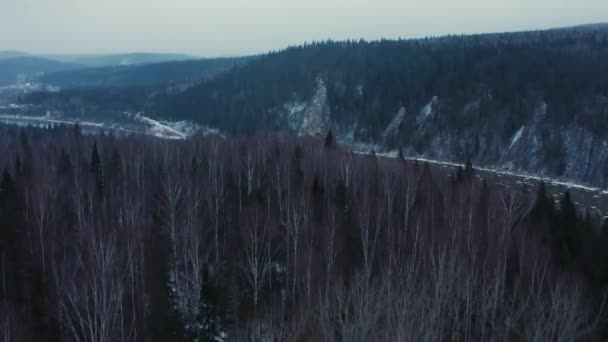 Letecký pohled na studenou řeku, skály a les na začátku zimy — Stock video