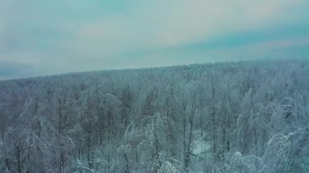 Vista aérea cinematográfica de un bosque frío cubierto de nieve en la cima de una colina — Vídeos de Stock