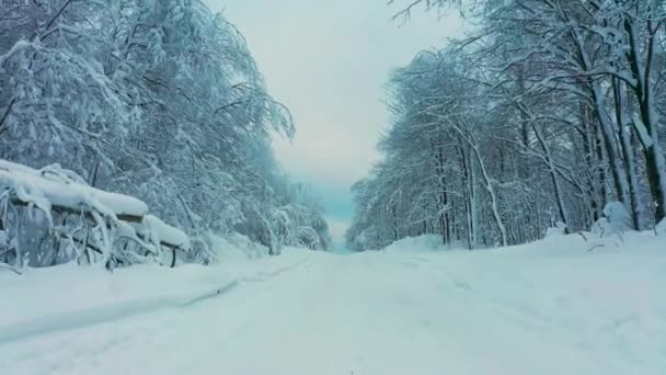 Vista aérea cinematográfica de un bosque frío cubierto de nieve en la cima de una colina — Vídeos de Stock