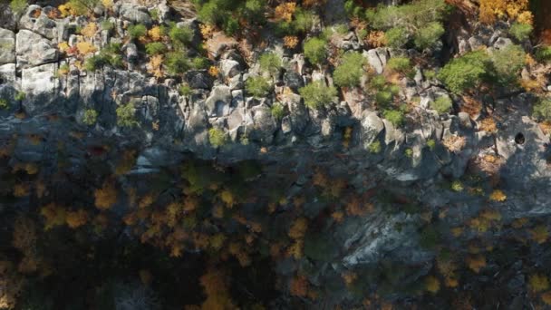 Vista aérea de un acantilado rodeado por un colorido bosque otoñal al atardecer — Vídeo de stock