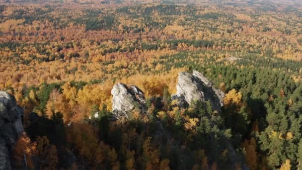 Letecký pohled na útes obklopený pestrobarevným podzimním lesem při západu slunce — Stock video