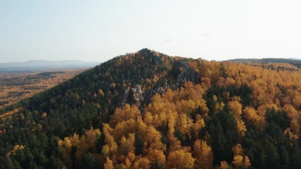 Aerial view of the hills in the trees, a colorful fall — Stock Video