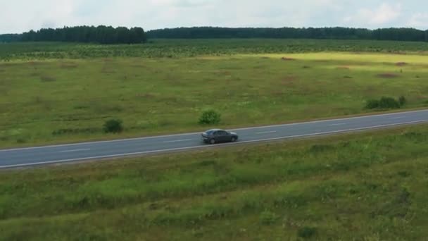 Luftaufnahme eines fahrenden Autos auf der Straße in einem Feld zwischen Fliederblumen — Stockvideo