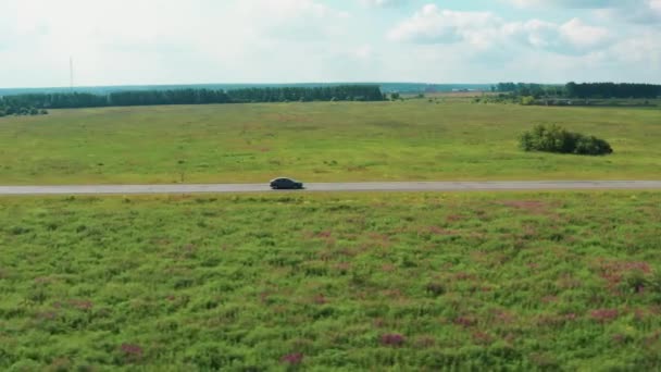 ライラックの花の間のフィールド内の道路上の運転車の空中ビュー — ストック動画