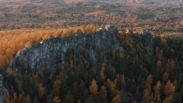 Gün batımında parlak bir sonbahar ormanıyla çevrili bir uçurumun havadan görüntüsü. — Stok video