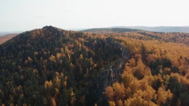 Ağaçlardaki tepelerin havadan görünüşü, renkli bir düşüş.