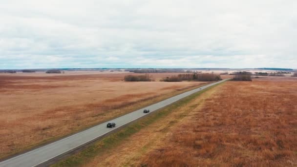 Vista de aves cinemáticas: un coche atraviesa un terreno accidentado en un campo amarillo. — Vídeo de stock