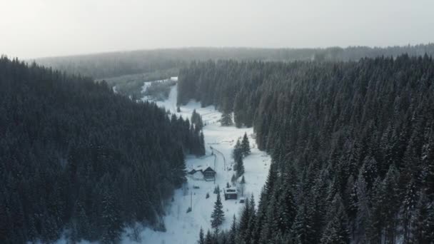 Letecký pohled na zimní les a sluneční sníh letící do kamery — Stock video