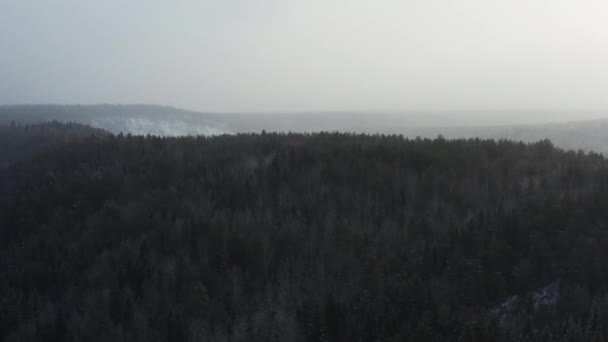 Вид с воздуха на зимний лес и солнечный снег, летящий в камеру — стоковое видео