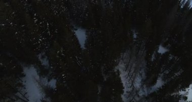 Kış ormanında yukarıdan çerçeve