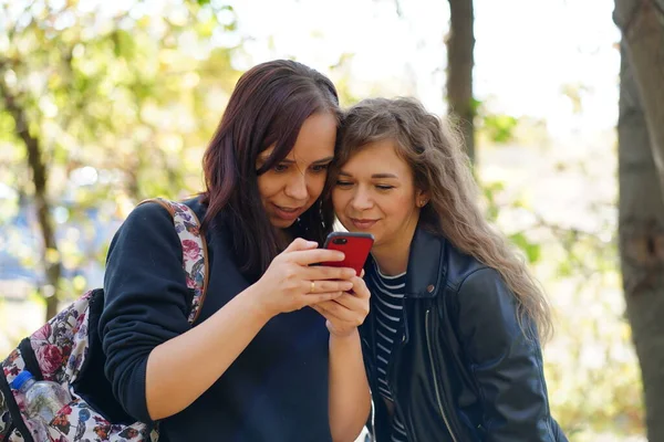 Großaufnahme Von Jungen Frauen Die Wald Mit Dem Handy Surfen — Stockfoto