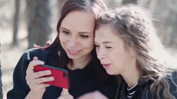 Gros Plan Jeunes Femmes Naviguant Sur Téléphone Portable Bois Jolies — Video