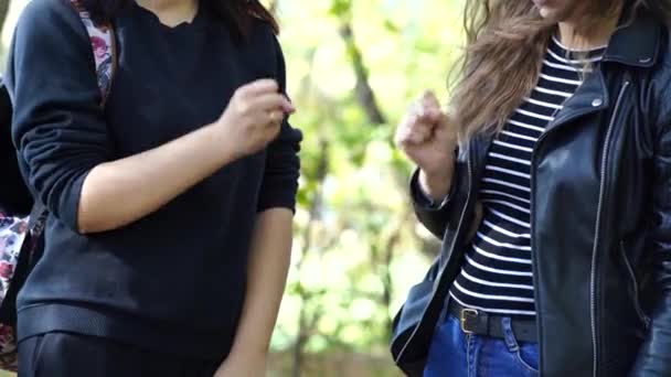 Young Women Play Game Rock Paper Scissors Wood Close Playful — Stock Video