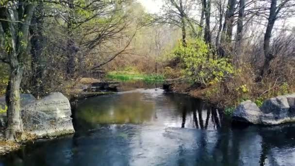 木々の間を流れる川の美しい風景 秋の天気で田舎の水路 自然背景の概念 — ストック動画