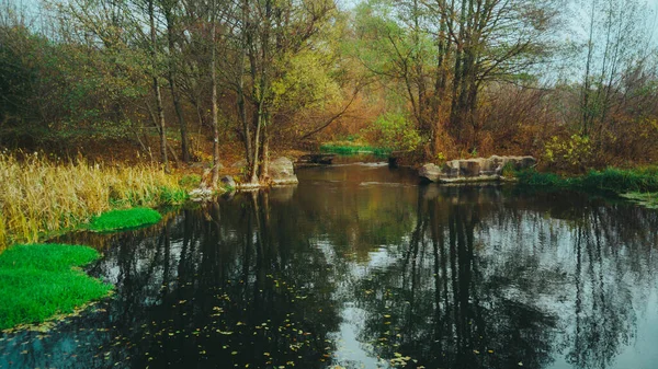 Beau Paysage Rivière Qui Coule Entre Les Arbres Voie Navigable — Photo