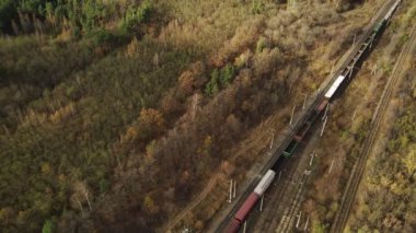 Yük treninin kırsaldaki hava manzarası. Sonbahar mevsiminde ormanın yakınındaki tren istasyonunun kuş bakışı görüntüsü.