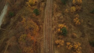 Yük treninin kırsaldaki hava manzarası. Sonbahar mevsiminde ormanın yakınındaki tren istasyonunun kuş bakışı görüntüsü.