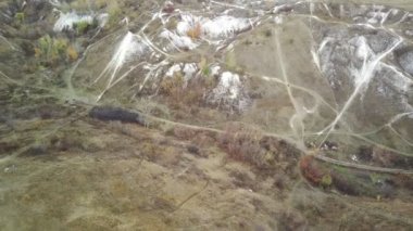 Sonbahar mevsiminde farklı ağaçların havadan görünüşü. Kuş bakışı renkli orman manzarası.