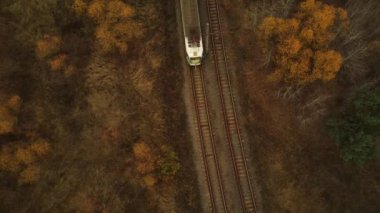Yük treninin kırsaldaki hava manzarası. Sonbahar mevsiminde ormanın yakınındaki tren istasyonunun kuş bakışı görüntüsü.