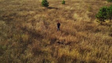 Kırsalda tek başına çimlerle yere inen bir kadının hava görüntüsü. Sonbahar mevsiminde ağaçlarla birlikte tarlada yürüyen yalnız dişinin kuş bakışı görüntüsü..