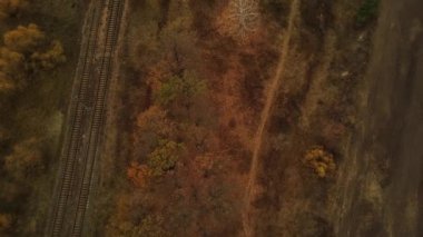 Yük treninin kırsaldaki hava manzarası. Sonbahar mevsiminde ormanın yakınındaki tren istasyonunun kuş bakışı görüntüsü.